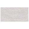 Gạch Đồng Tâm bóng 4080FAME002
