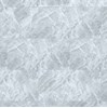 Gạch Đồng Tâm bóng 4080FAME009