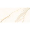 Gạch Đồng Tâm bóng 4080REGAL005