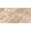 Gạch Đồng Tâm bóng 4080REGAL006