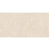 Gạch Đồng Tâm bóng 4080REGAL008