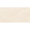Gạch Đồng Tâm bóng 4080REGAL018