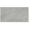 Gạch Đồng Tâm chống trượt 3060GECKO008