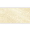 Gạch Đồng Tâm đồng chất 3060VICTORIA001