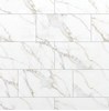 Gạch Đồng Tâm men bóng 3060DELUXE009
