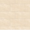 Gạch Đồng Tâm men bóng 3060ROXY006