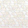Gạch Đồng Tâm men bóng D3060DELUXE005