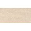 Gạch Đồng Tâm Porcelain 3060SAHARA006