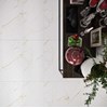 Gạch Đồng Tâm Porcelain 4080GECKO002