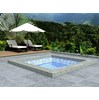 Gạch Đồng Tâm Porcelain 4080GECKO004