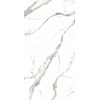 Gạch Eurotile 60x120 SIG P61206