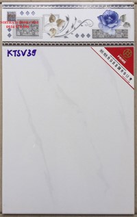 Gạch giá rẻ 25x40 KTSV39