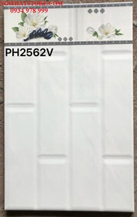 Gạch giá rẻ 25x40 PH2562V