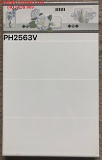 Gạch giá rẻ 25x40 PH2563V