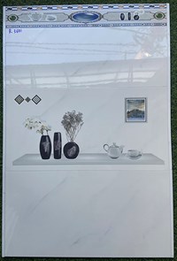 Gạch ốp tường giá rẻ 300x600 R3601