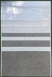 Gạch ốp tường giá rẻ 300x600 R3609