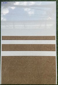 Gạch ốp tường giá rẻ 300x600 R3610