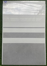 Gạch ốp tường giá rẻ 300x600 TQA-36203