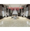 Gạch Hoàn Mỹ 100x100 vi tinh 54002