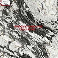 Gạch Hoàn Mỹ 100x100 vi tinh 54010