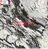 Gạch Hoàn Mỹ 100x100 vi tinh 54010