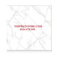 Gạch Hoàn Mỹ 100x100 vi tinh 55001