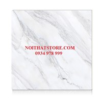 Gạch Hoàn Mỹ 100x100 vi tinh 55002