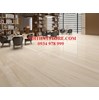 Gạch Hoàn Mỹ 100x100 vi tinh 55004