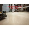 Gạch Hoàn Mỹ 100x100 vi tinh 55005