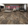 Gạch Hoàn Mỹ 100x100 vi tinh 55007
