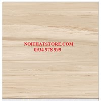 Gạch Hoàn Mỹ 100x100 vi tinh 55503