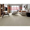 Gạch Hoàn Mỹ 100x100 vi tinh 55505