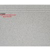 Gạch lát cầu thang 50x60 CT5602