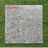 Gạch lát nền 50x50 GSE5045