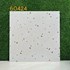 Gạch lát nền Terrazzo 60x60 KIS 60424