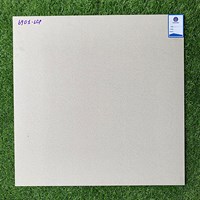 Gạch lát nền 60x60 mờ xi măng 6901-LCP