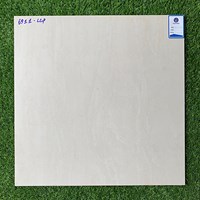Gạch lát nền 60x60 mờ xi măng 6911-LCP