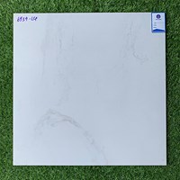 Gạch lát nền 60x60 mờ xi măng 6914-LCP
