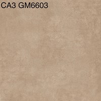 Gạch lát nền 60x60 mờ xi măng CA3-GM6603