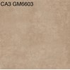 Gạch lát nền 60x60 mờ xi măng CA3-GM6603