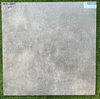 Gạch lát nền 60x60 mờ xi măng CA7-6601-UN