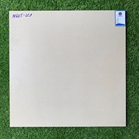 Gạch lát nền 60x60 mờ xi măng M625-LCP