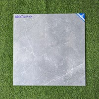 Gạch lát nền 60x60 mờ xi măng MDK662017-HTP