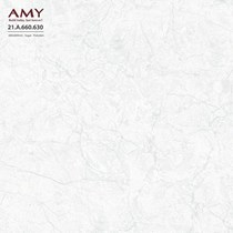 Gạch lát nền Á Mỹ 60x60 630