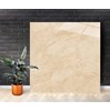 Gạch lát nền Catalan 100x100 10002