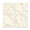 Gạch lát nền Catalan 100x100 10005