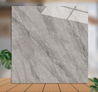 Gạch lát nền Catalan 100x100 10016
