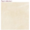 Gạch lát nền Catalan 60x60 6945