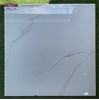 Gạch lát nền Catalan 800x800 95001