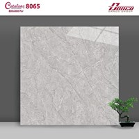 Gạch lát nền Catalan 80x80 8065